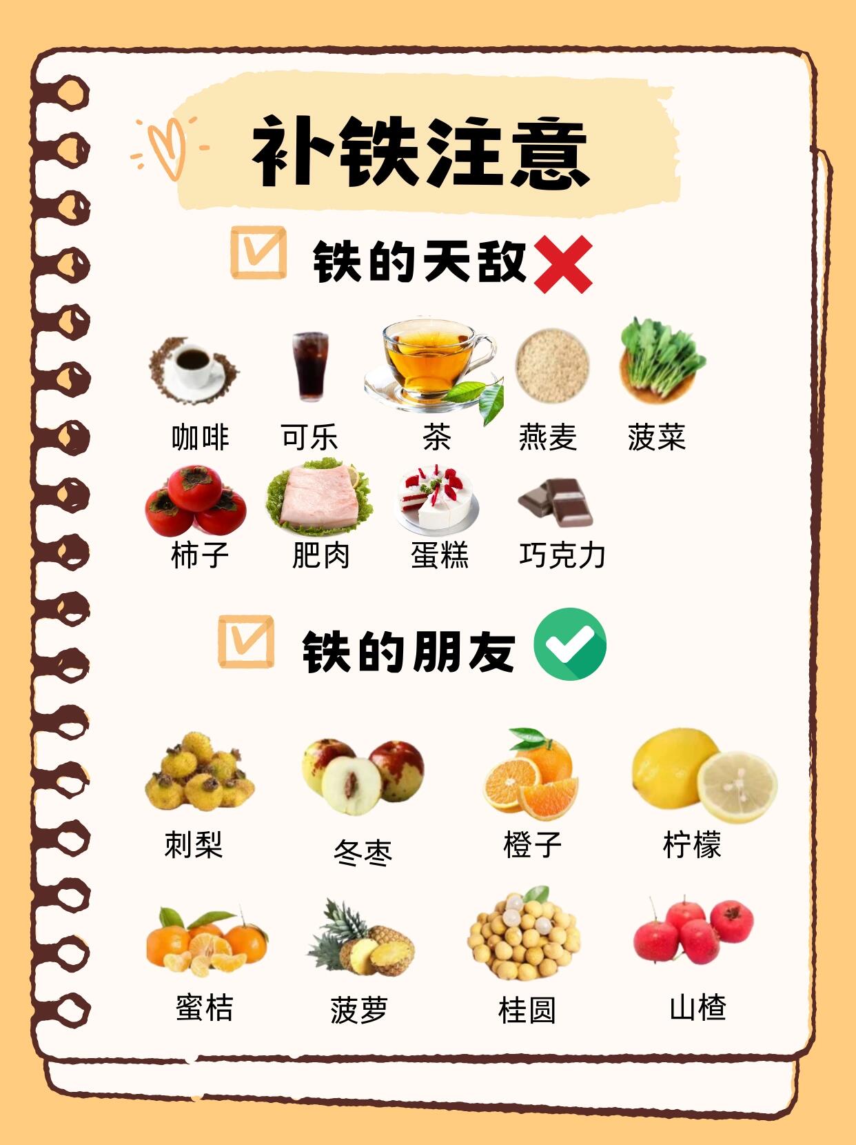 最佳补铁的食品是什么?