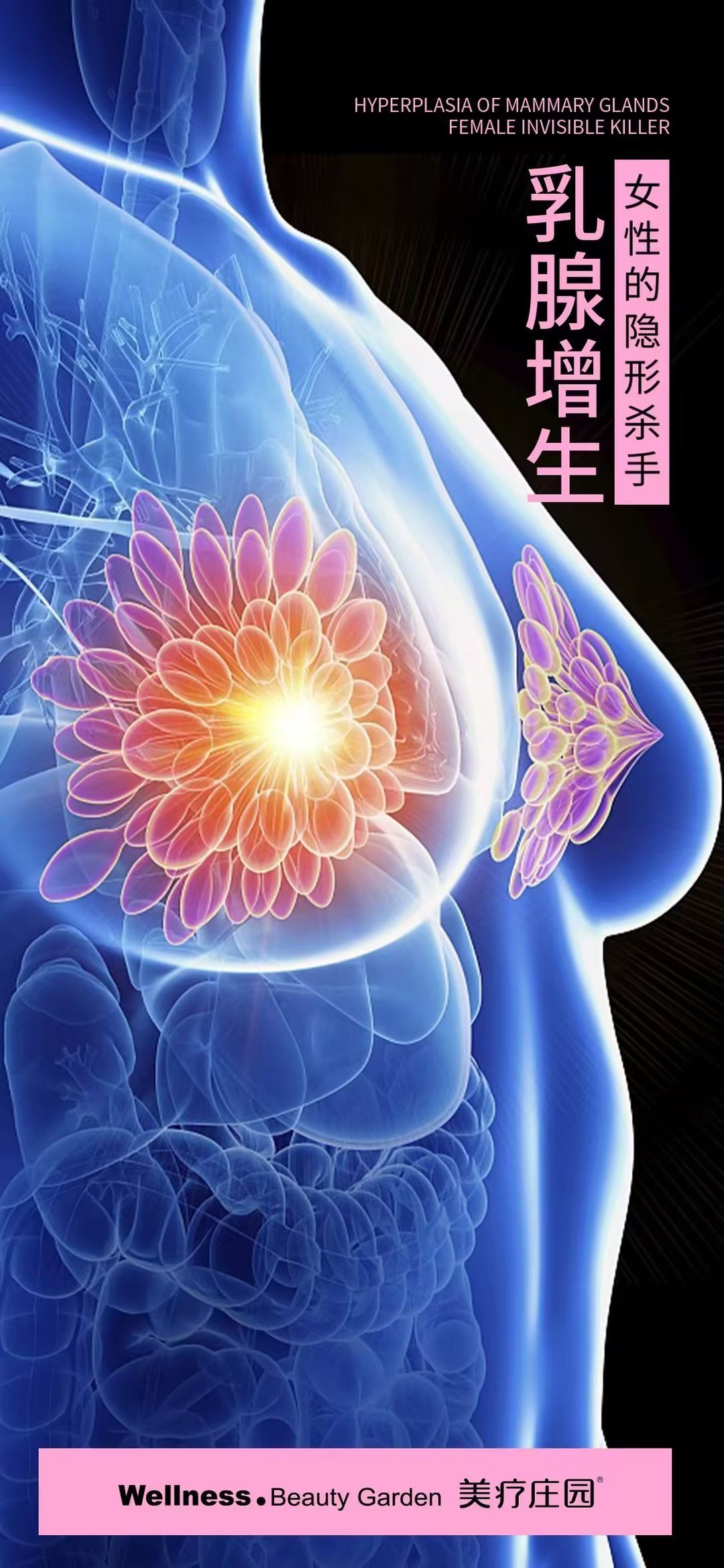 成向秋