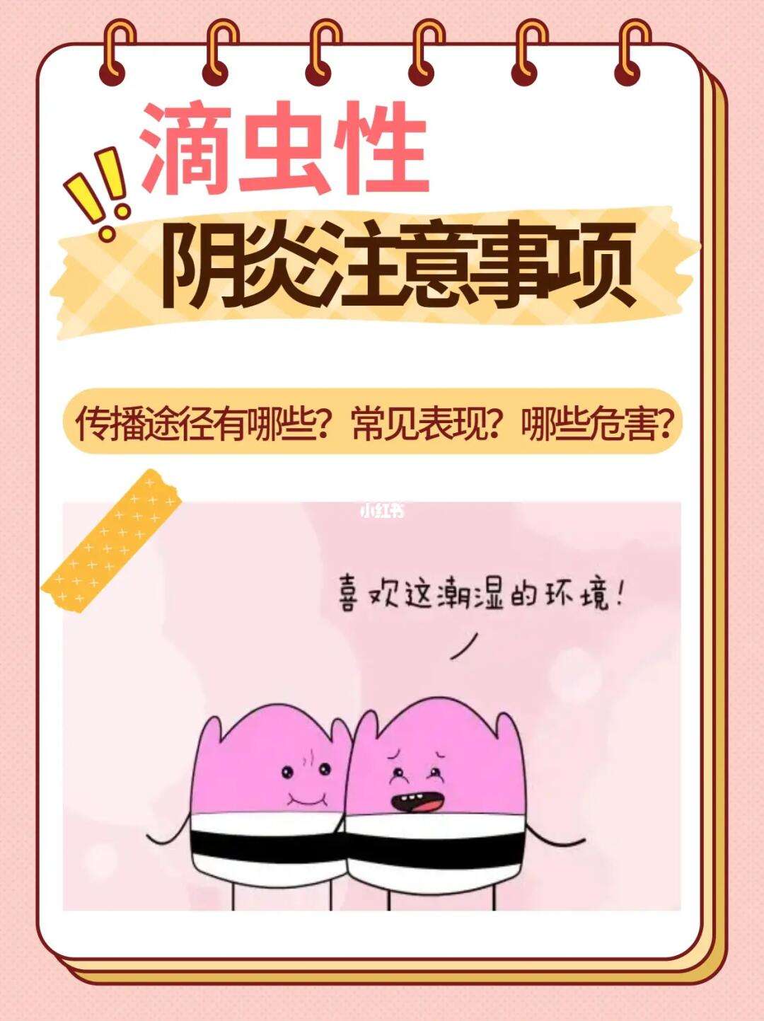 郦君之