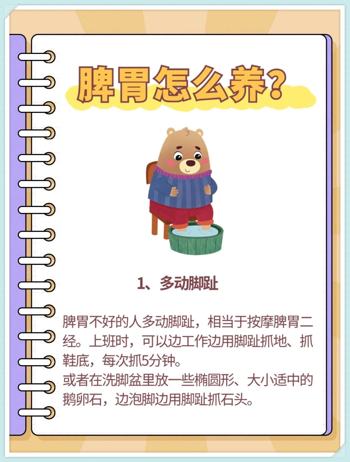 脾胃的功能