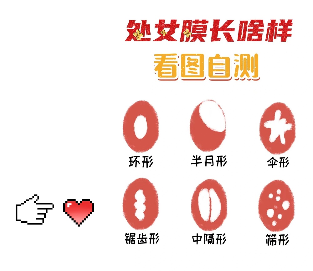 女人下面为什么有个洞