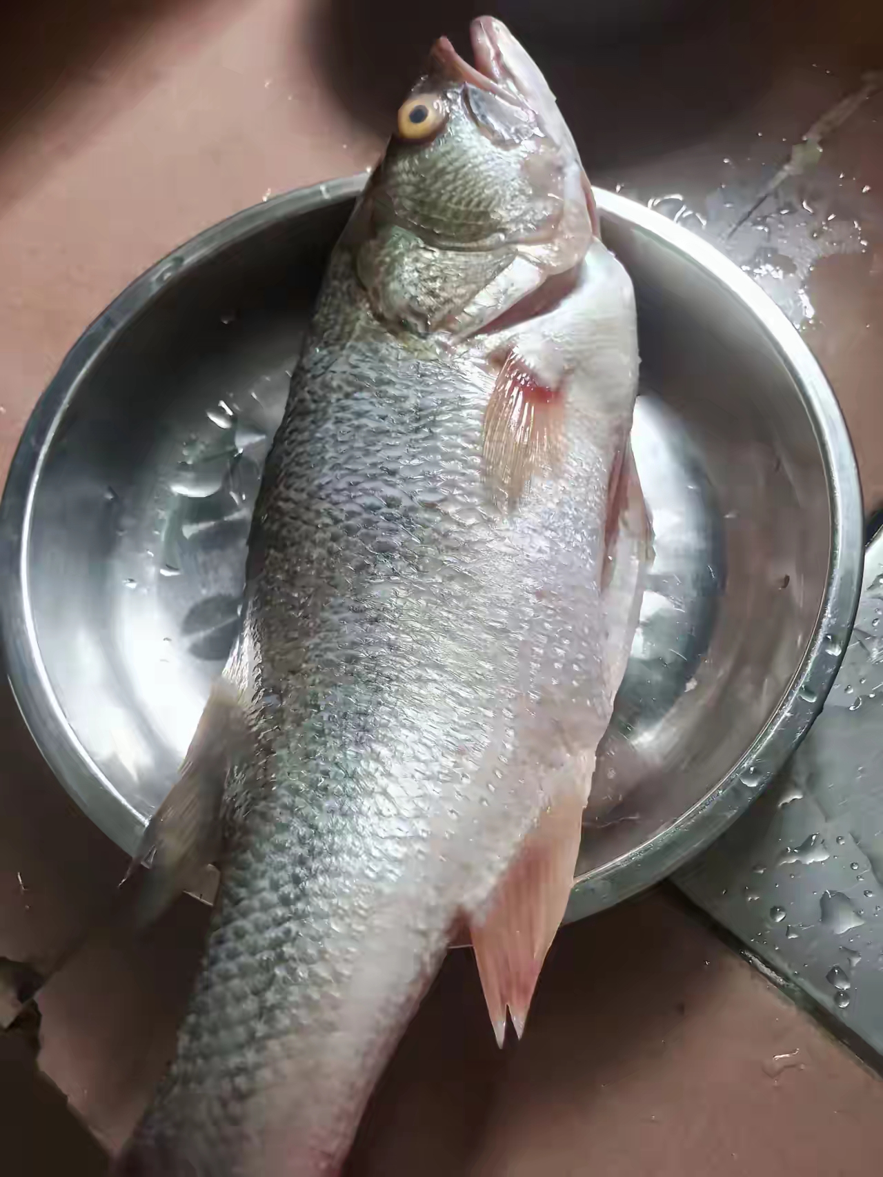 宝夏瑶