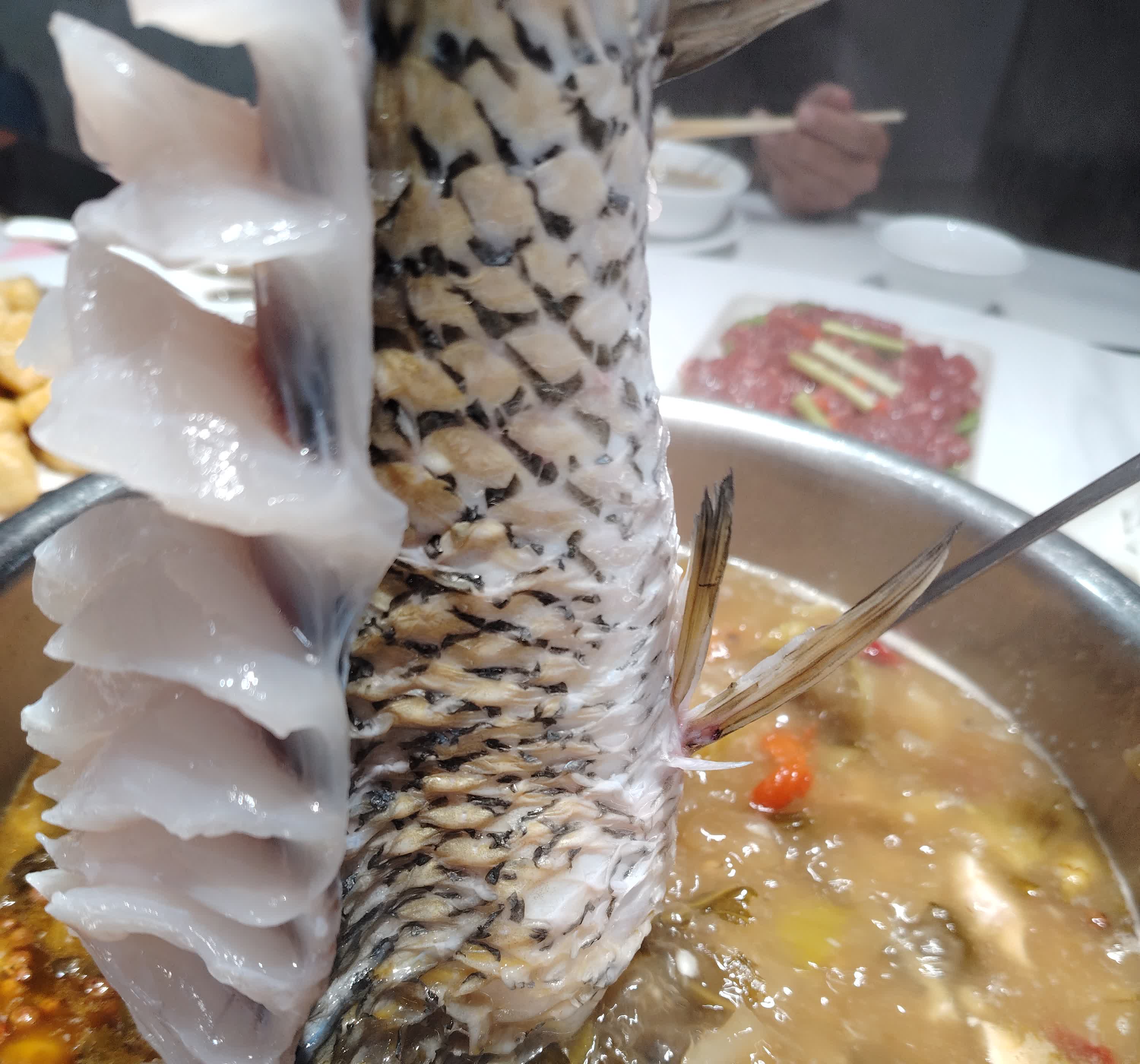 吃中药可以吃鱼吗..