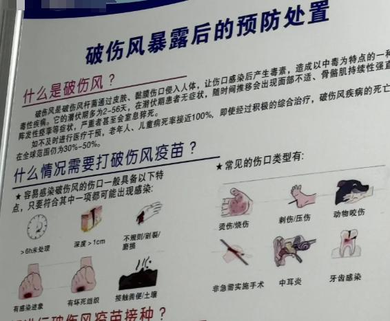 归雨双