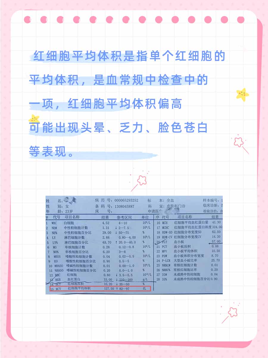 惠清逸