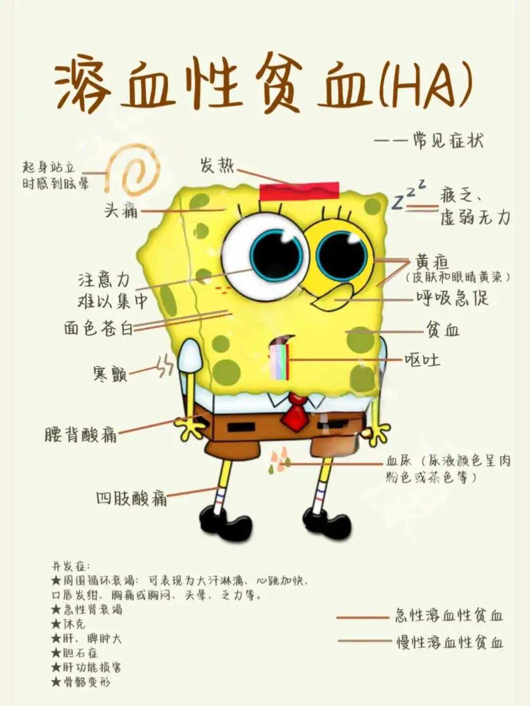 自身免疫溶血性贫血是什么意思