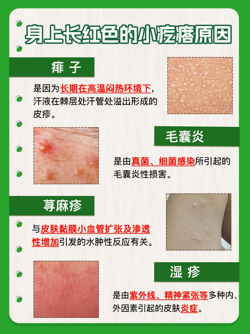 身上长疙瘩
