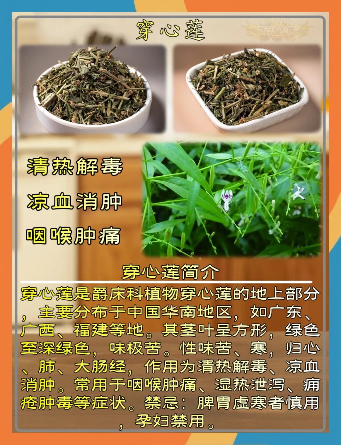 穿心莲滴丸的功效与作用