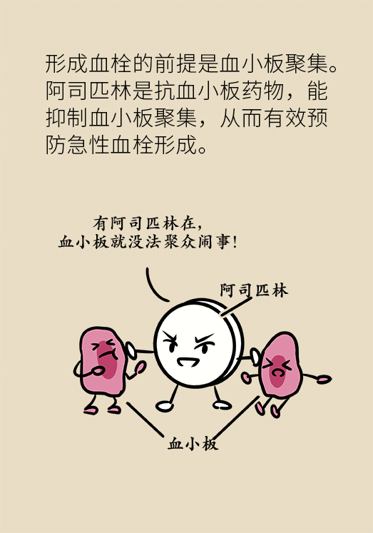 辛妙珍