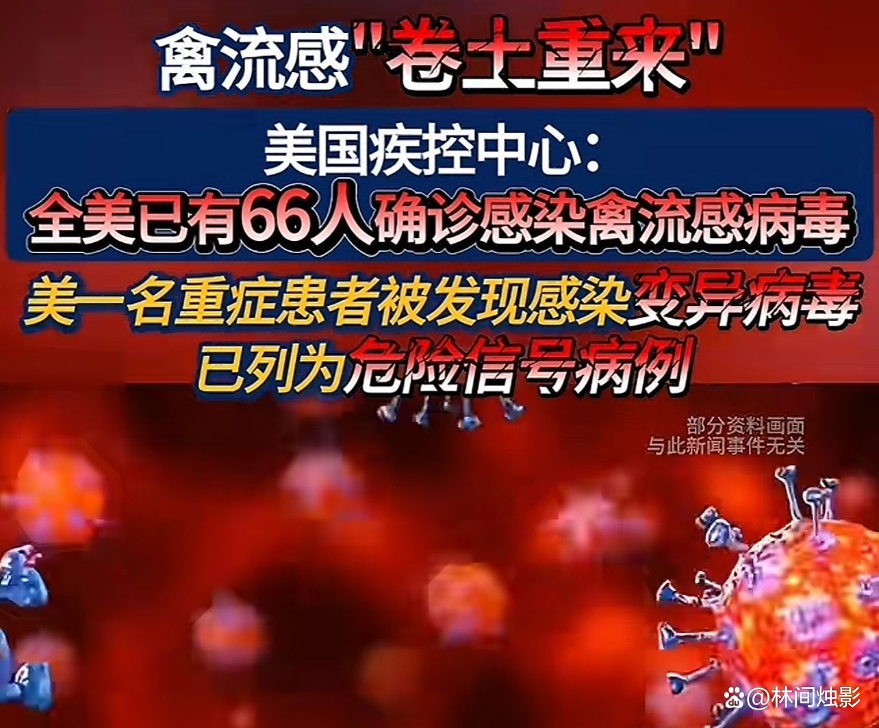 禚书