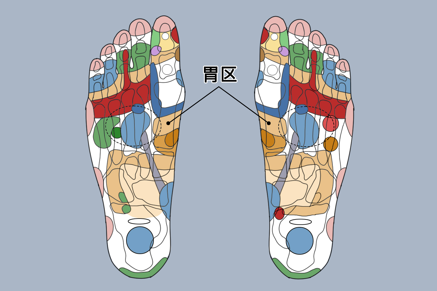 恶心想吐按摩哪个部位
