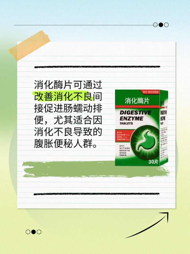 消化酶的作用与功效