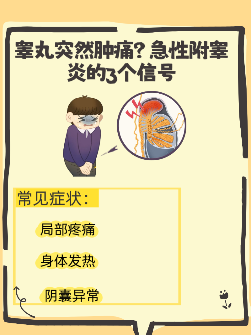 为什么睾丸会肿大痛