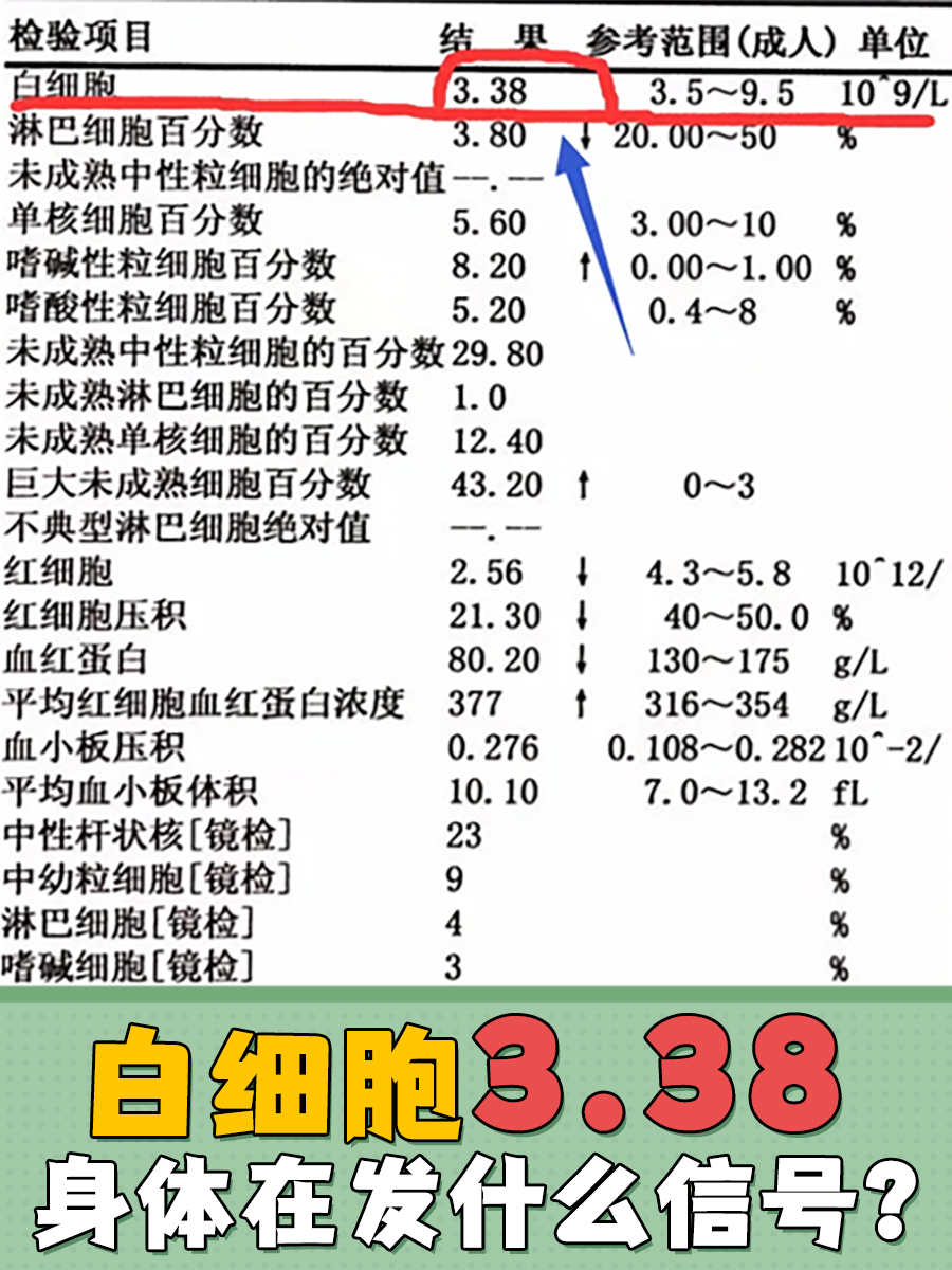 白细胞高什么原因