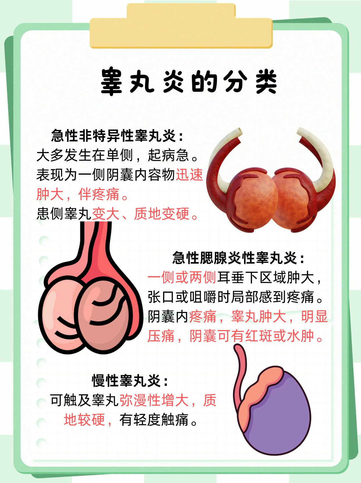 睾丸结核怎么治愈..
