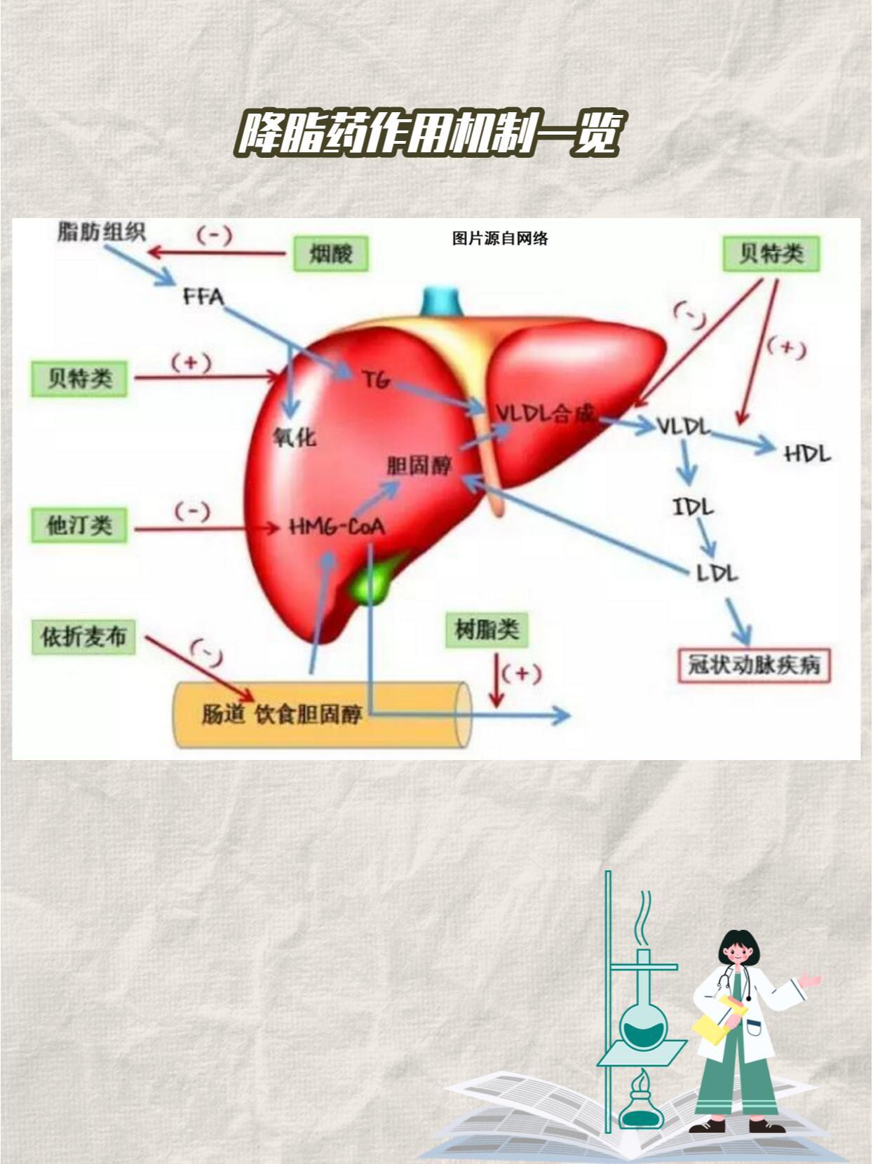 揭信