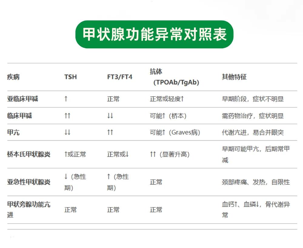 毕宏扬