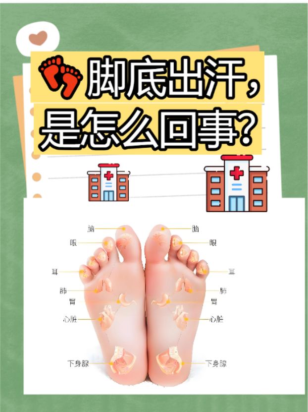 丰白梅