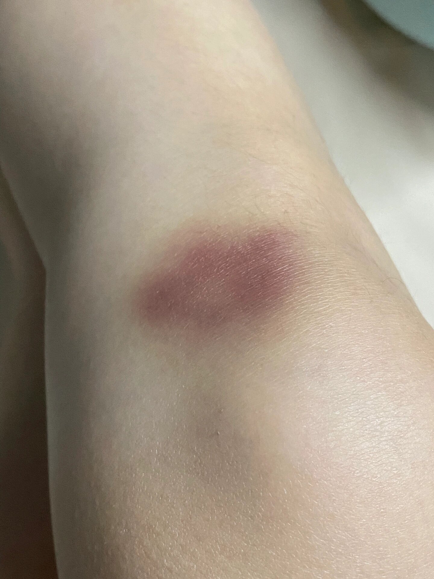尔鸿风