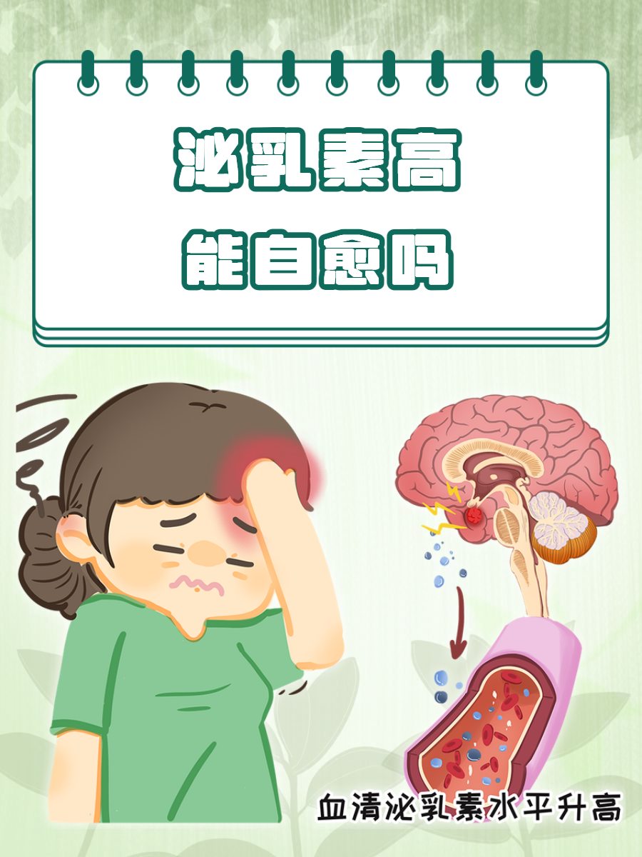 索璇子