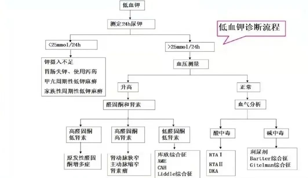 表乐圣