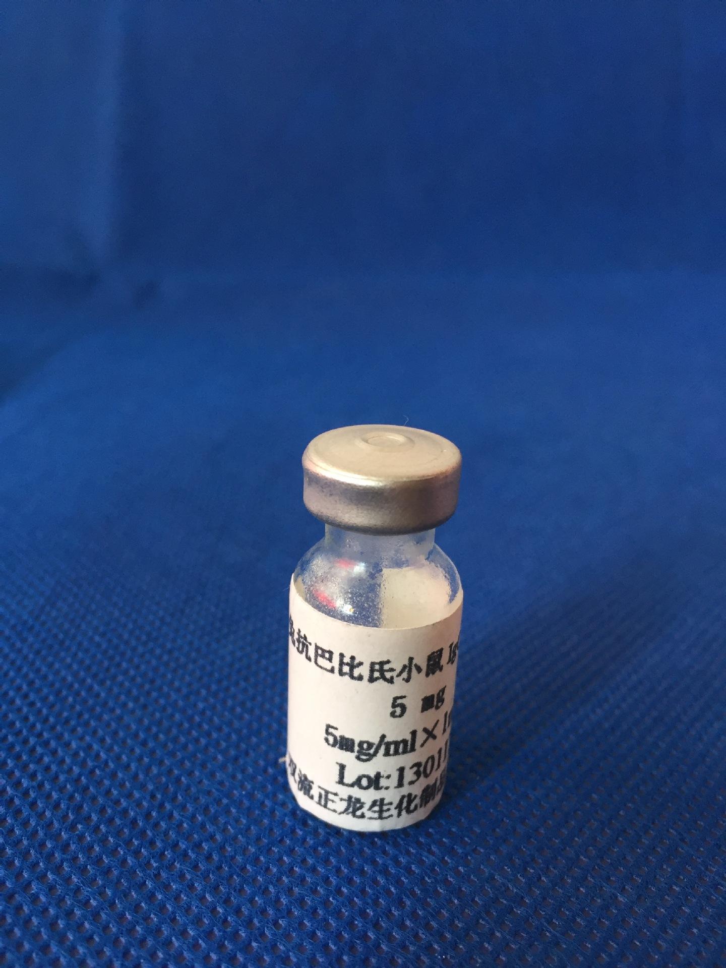 封闭抗体是什么意思