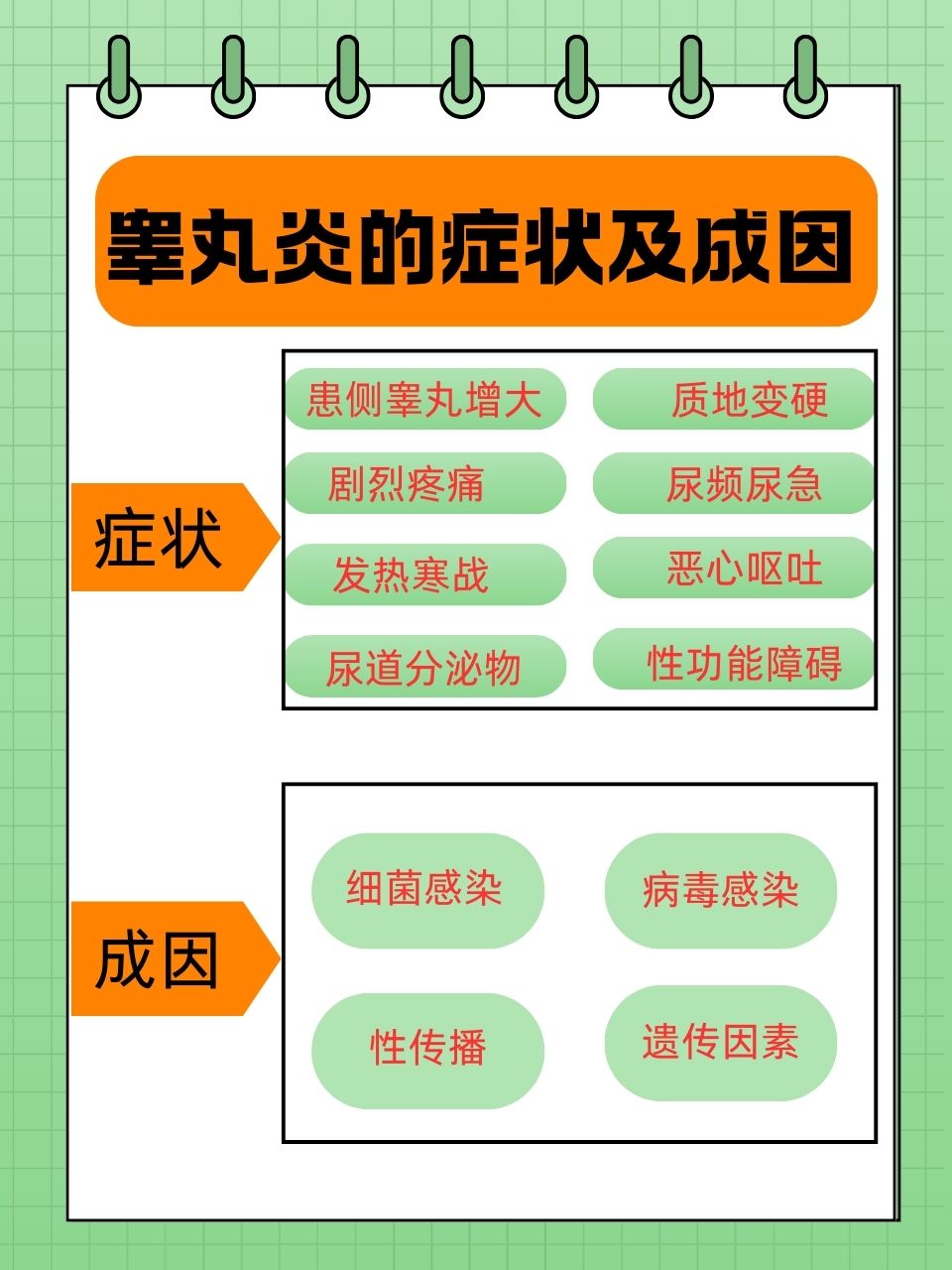 阴囊炎的症状