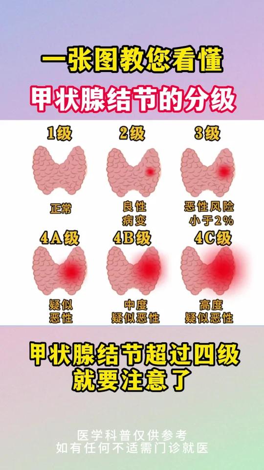 甲状旁腺与甲状腺区别