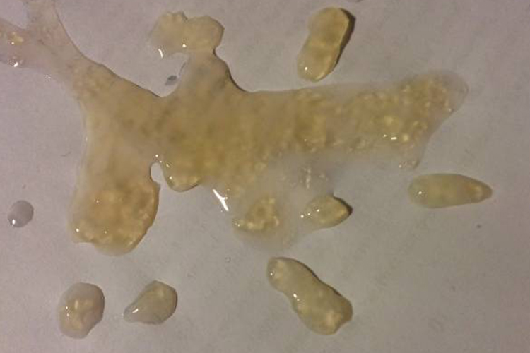 精液有味道