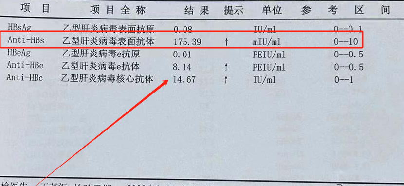 乙肝表面抗体是什么意思