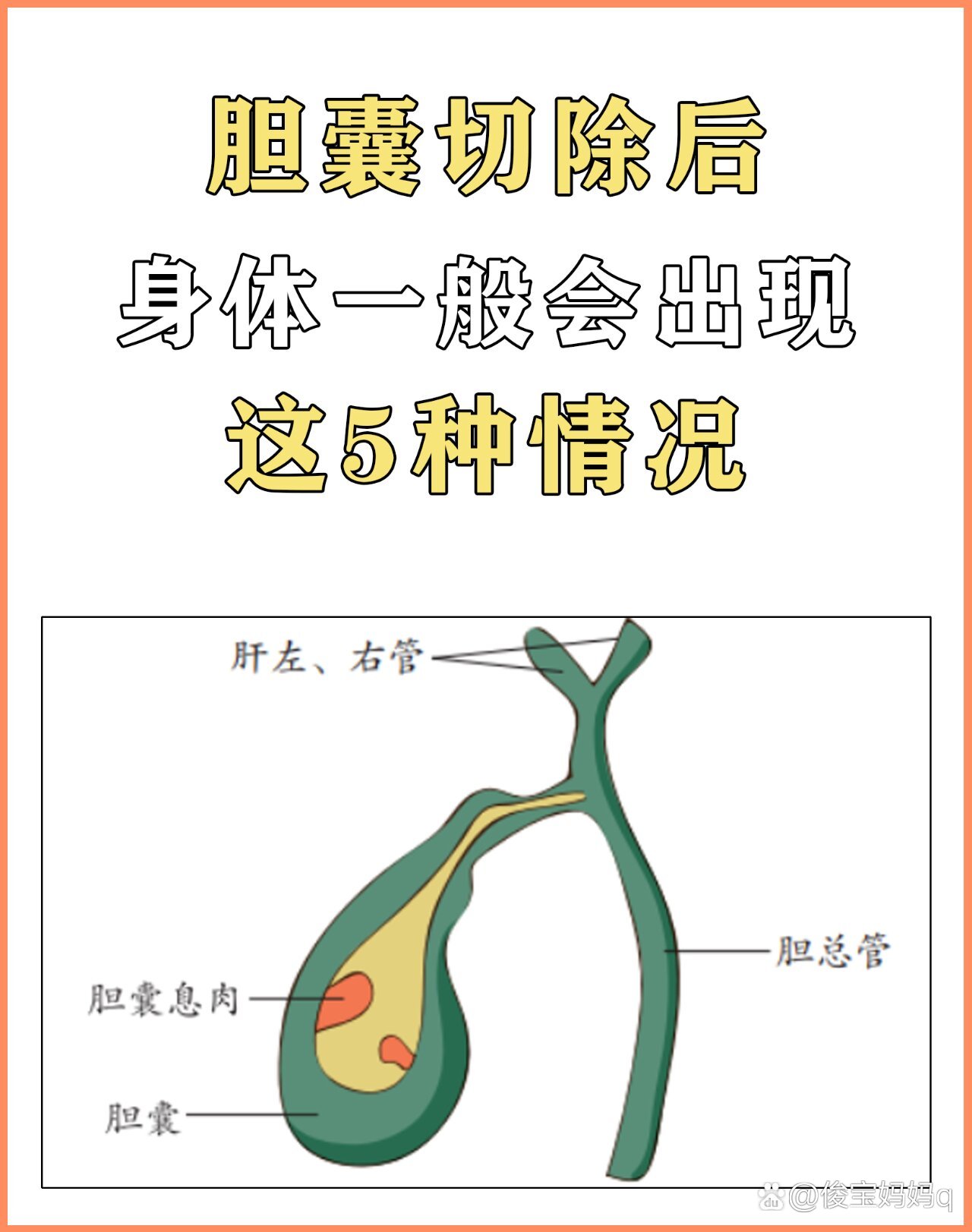 封善静