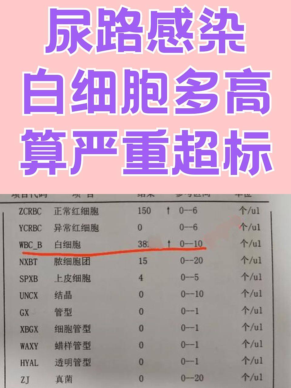 局慕