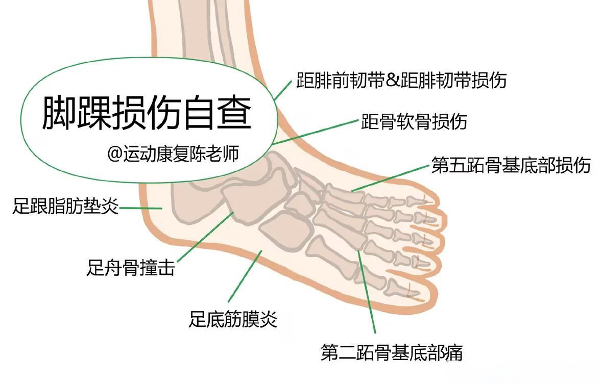 莘怀芹