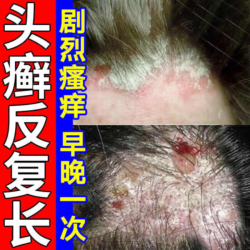 将书兰