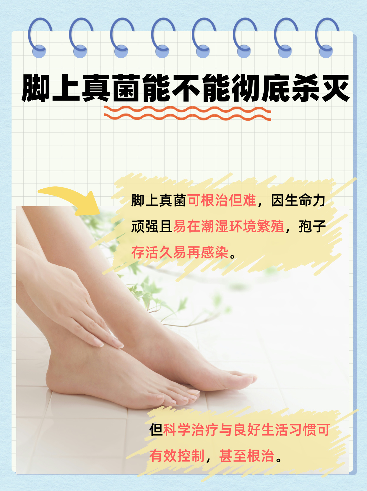 承听云