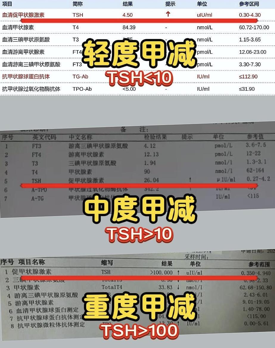 太史含双