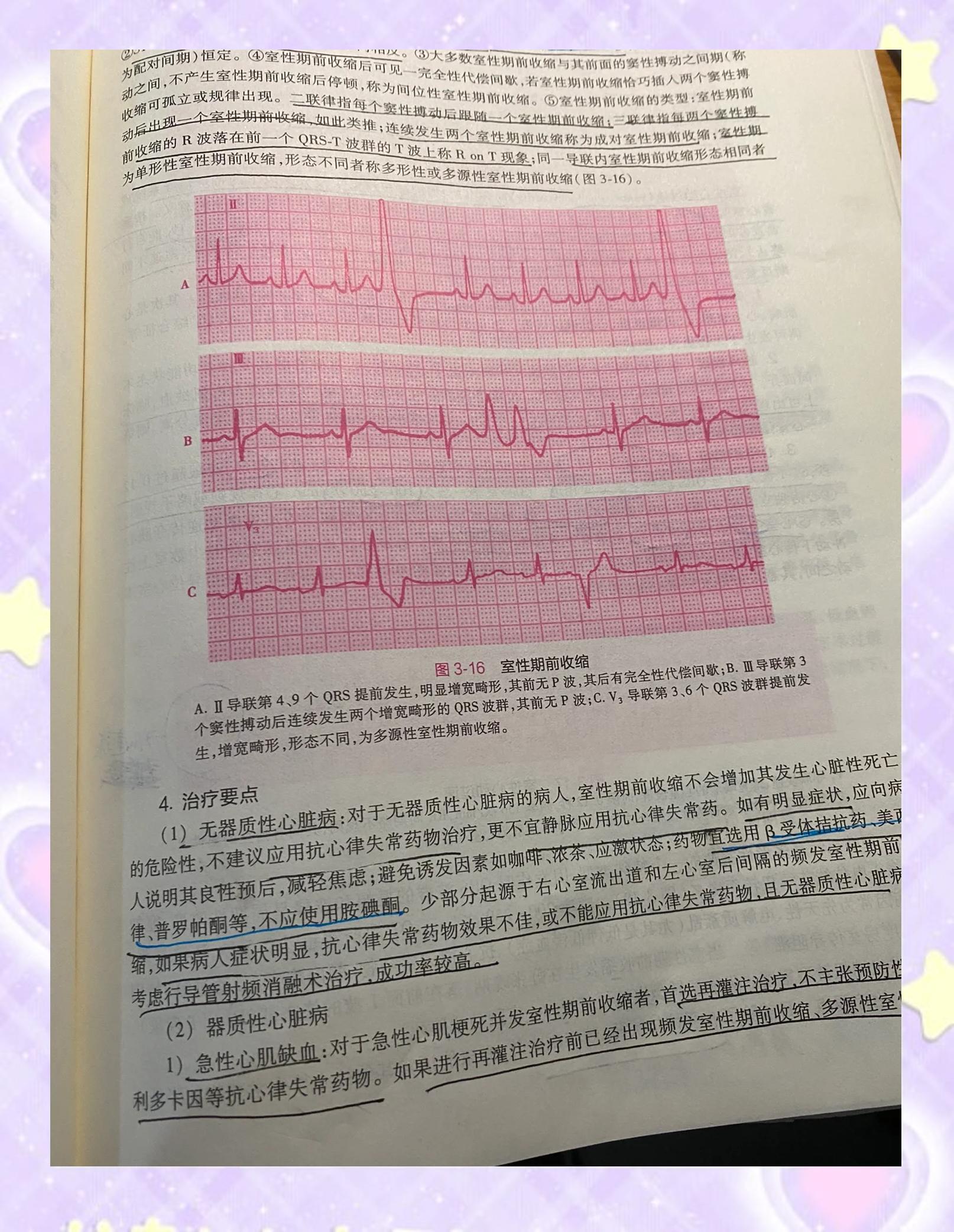 公西宜人