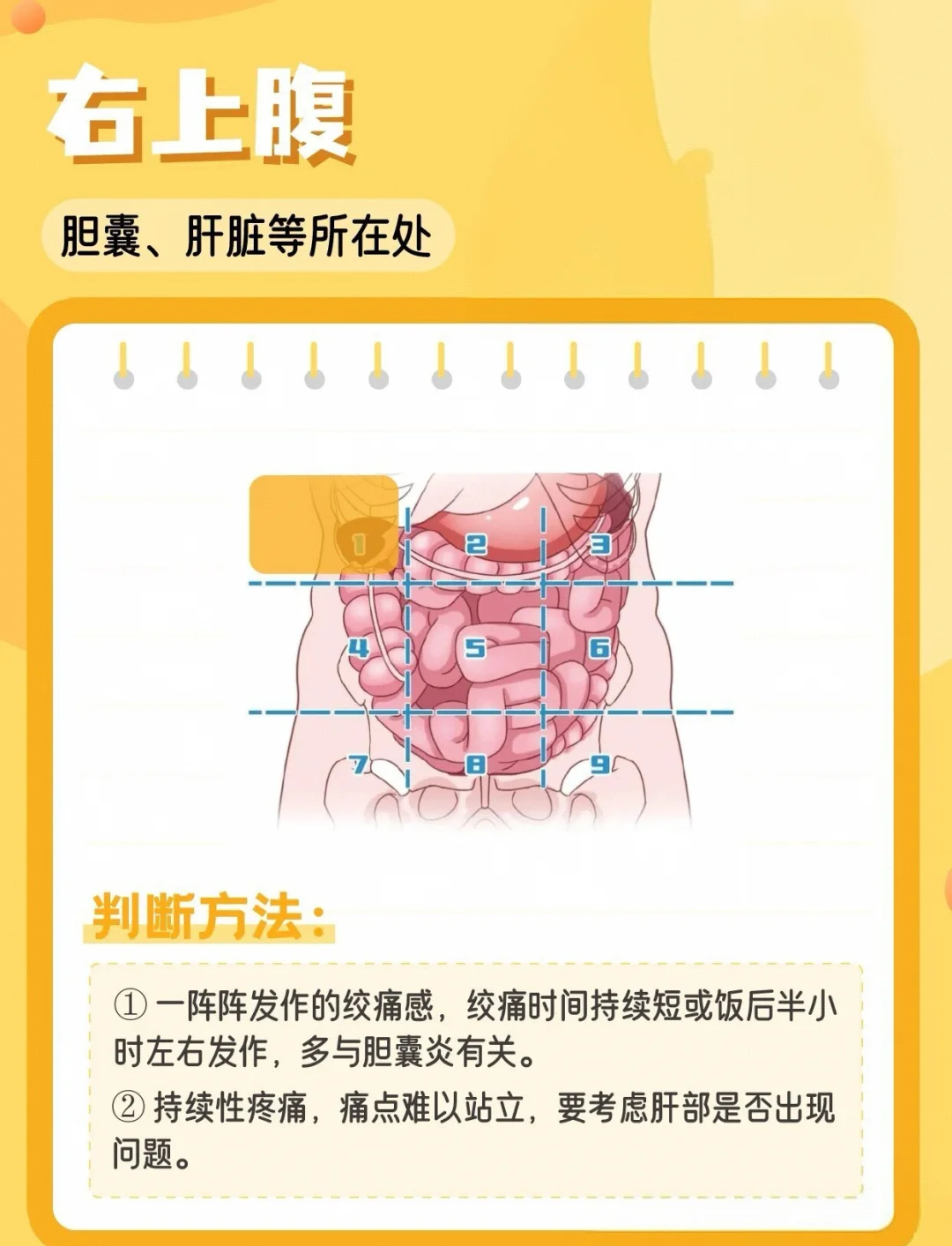 肝区一阵一阵疼痛是怎么回事