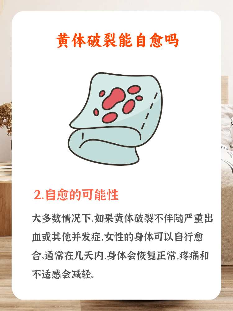 钟离思美