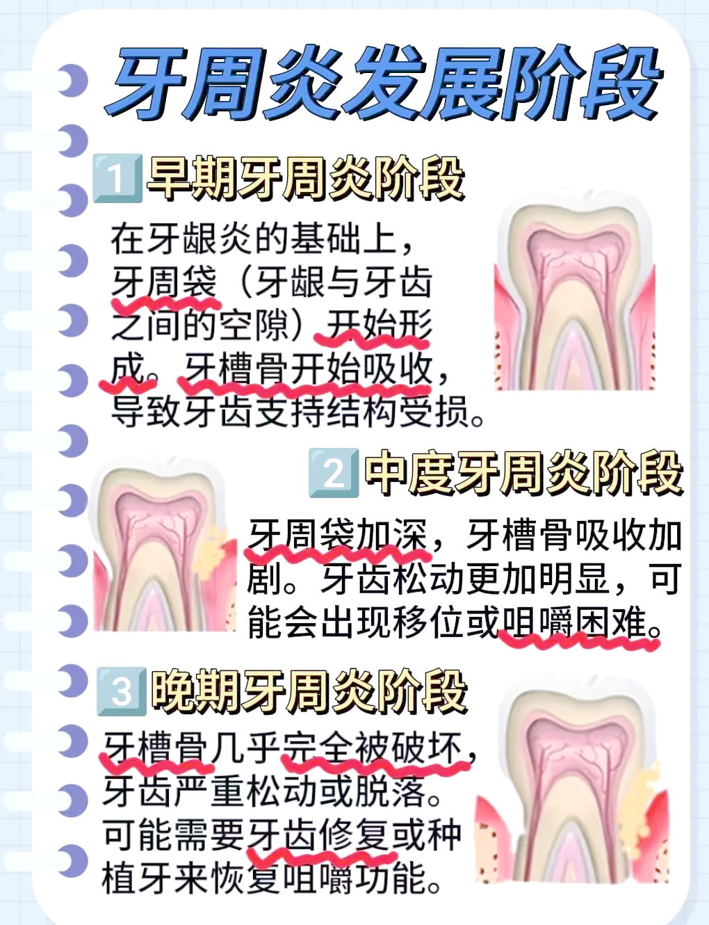 桥慧雅