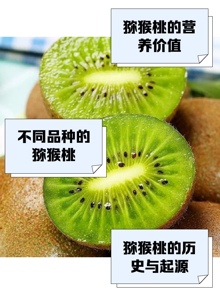 糖尿病人能吃猕猴桃吗