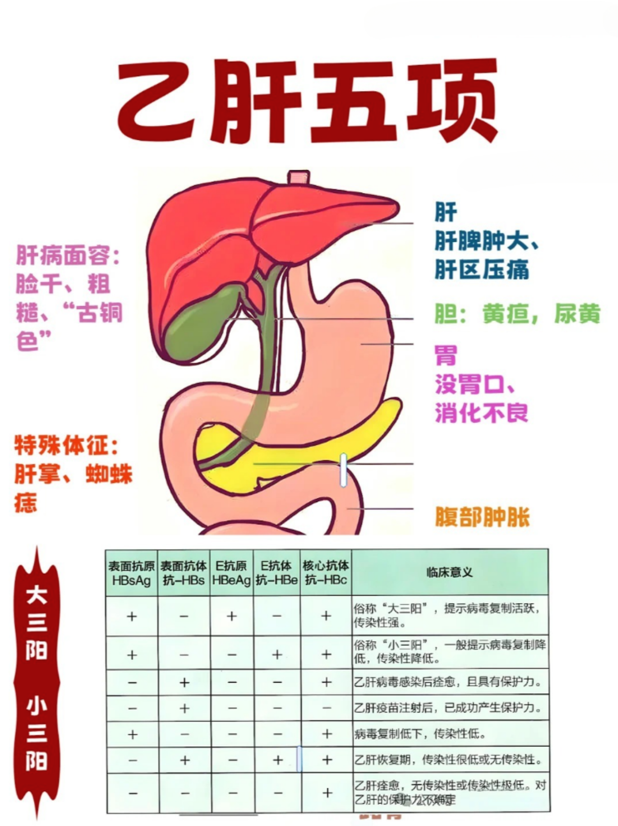 乙肝病毒指的是什么?
