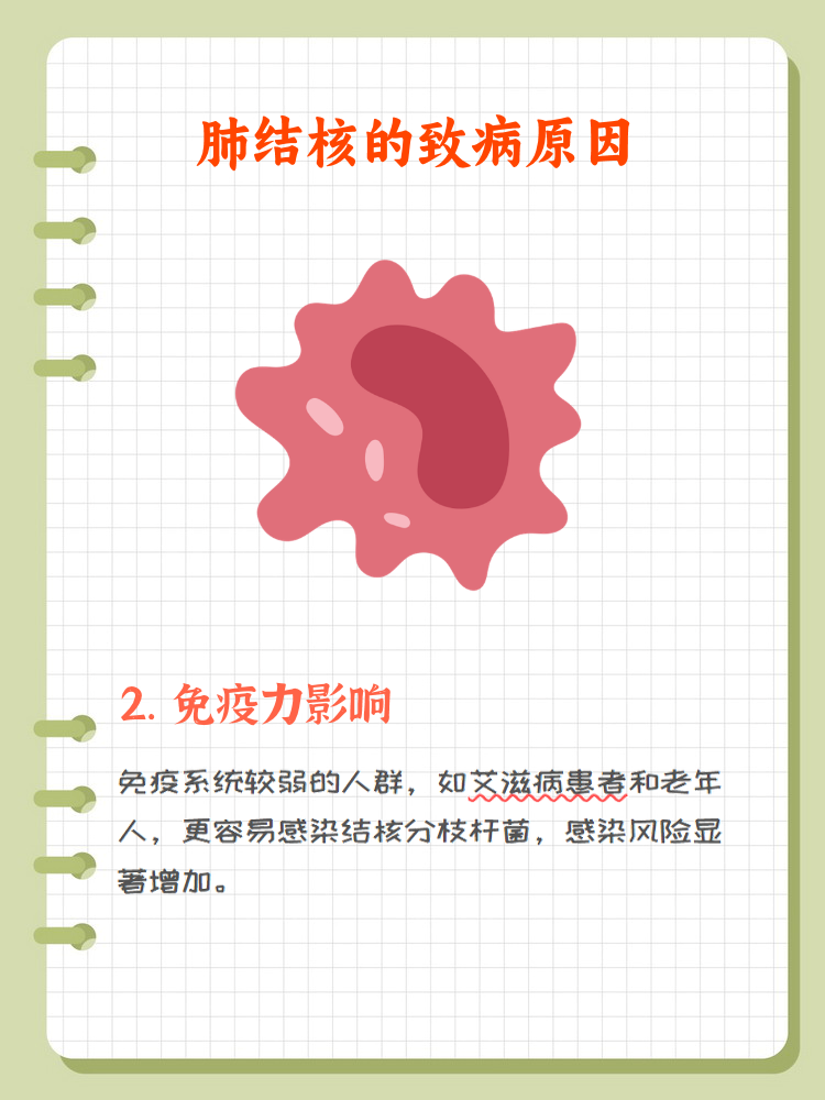 肺结核是怎样引起的?