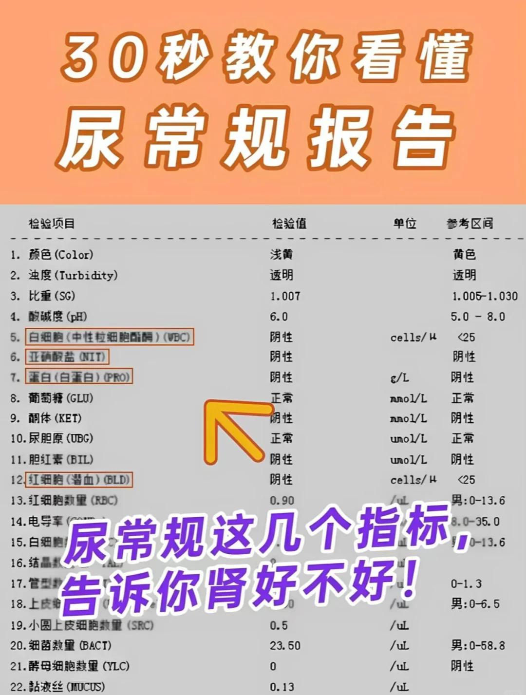 尿蛋白弱阳性是什么意思
