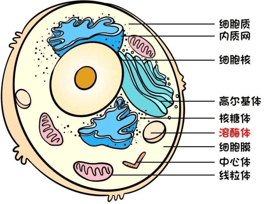 新鲜城事 第8页