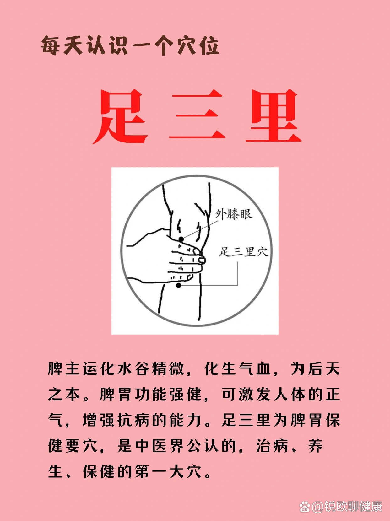 足三里胀痛是什么原因