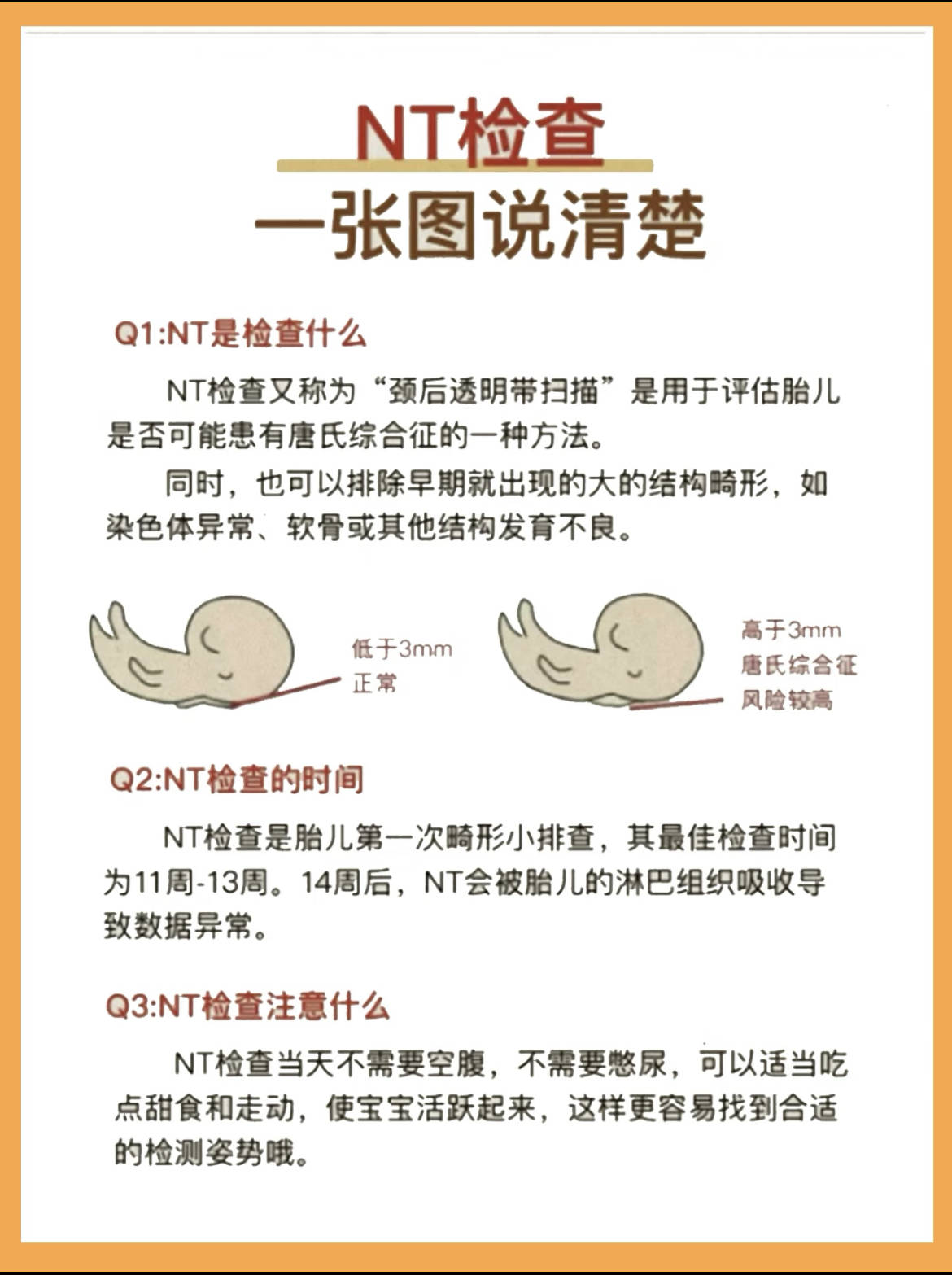 nt检查必要吗
