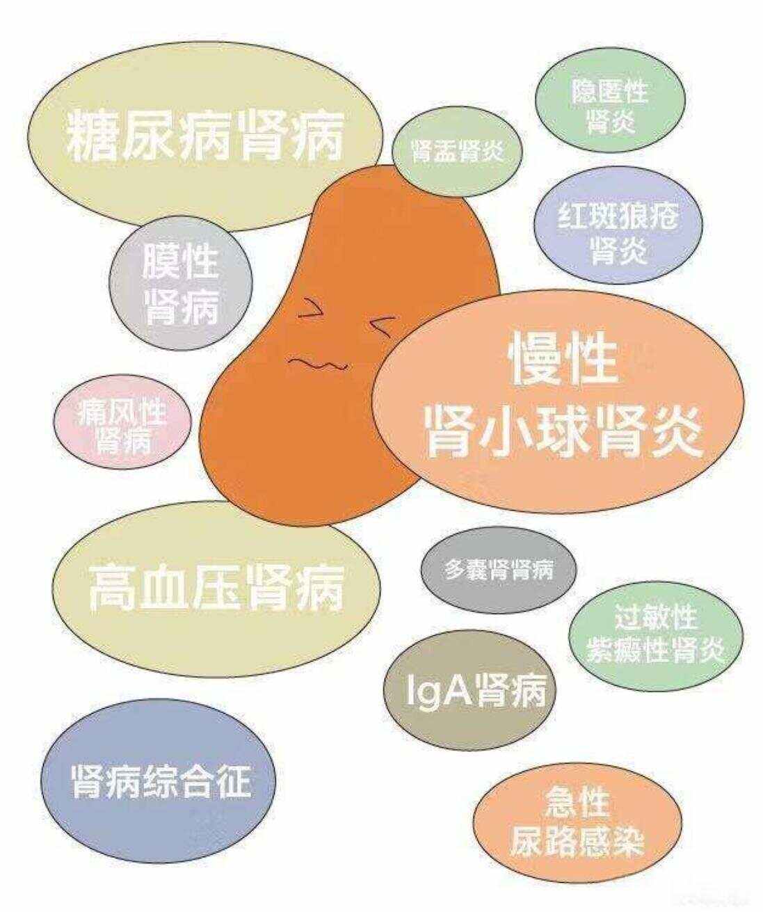 肾脏内科看什么病
