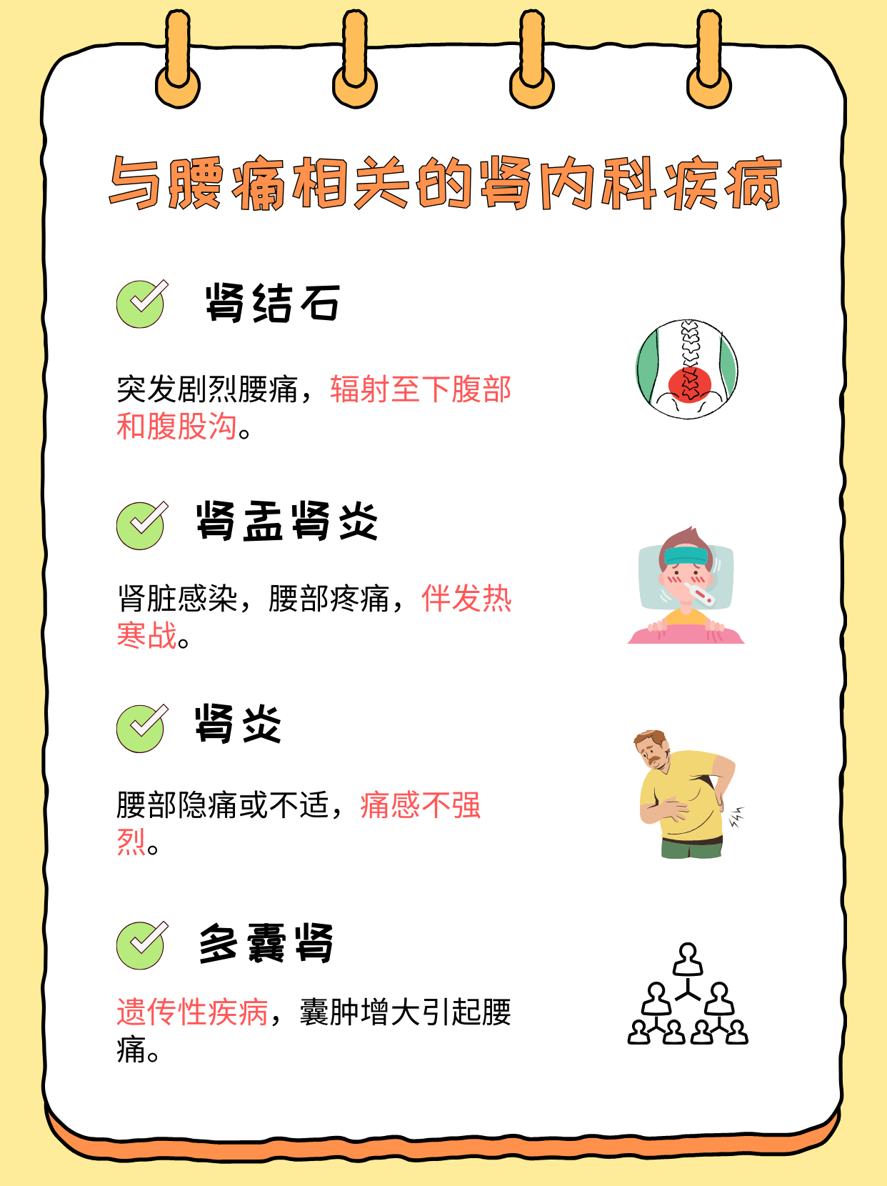 肾脏内科看什么病