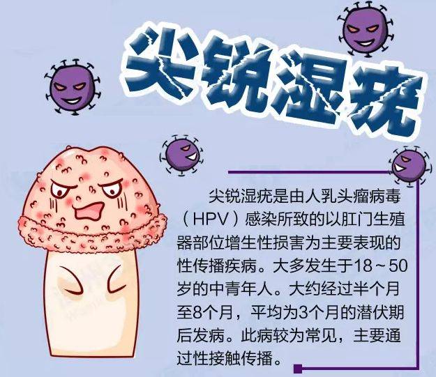 外阴溃疡涂什么药最好